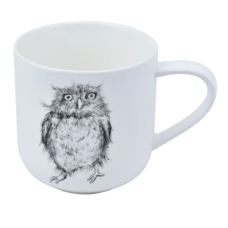 A0520-450-4 Посуд порцеляновий «Astera» Graphics Ruffled Owl Color - Кухоль 450мл