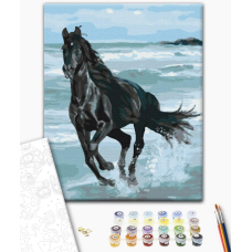 BS29330 Картини за номерами Чорний кінь Класік 40х50