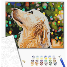 BS52253 Картини за номерами В очікуванні дива Класік 40х50