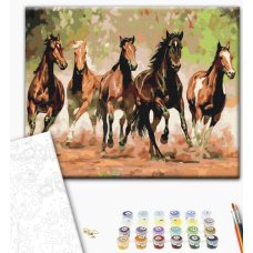 BS8288 Картини за номерами Табун коней Класік 40х50