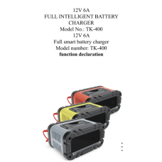 Зарядний пристрій 12V6a Smart Car Battery TK400 (16)