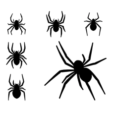 Павук середній 1шт 3D 5,5*7,5см