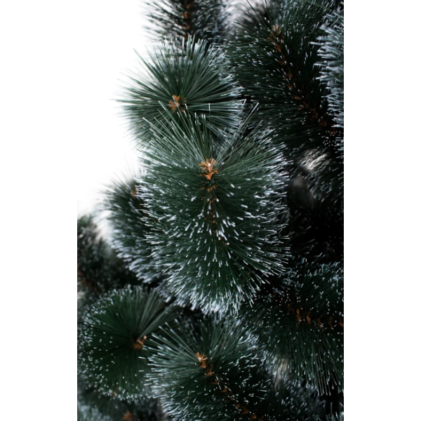 Ялинка Сосна, ЗЕЛЕНА з білими кінчиками, 210 см.