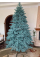 Ялинка Лита Буковельська, БЛАКИТНА, 180 см.