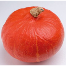 Насіння Гарбуз КЕНЖІ КУРІ 10г / тип Хоккайдо /