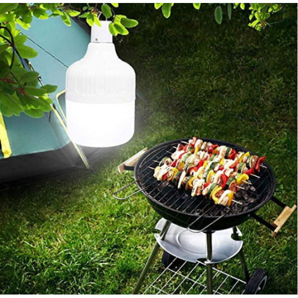 Лампа діодна для кемпінгу 10W BK-1820 6589 (100)