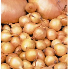Цибуля фас 0,5кг Голландія (20)