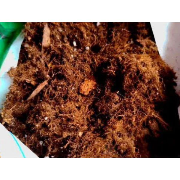 Торф'яний субстрат "Для лохини" PEATFIELD 20л