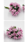 Декор додатки (12)