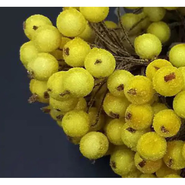 Декор ягода велика (10)