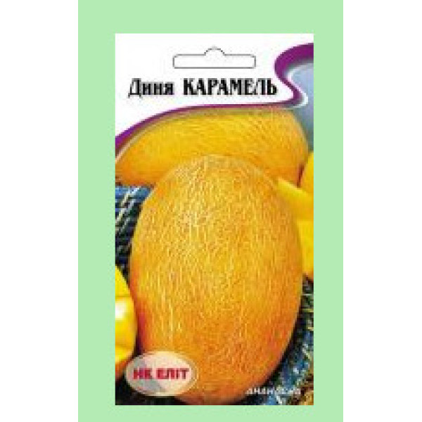 Насіння Диня Карамель 1г
