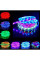 LED стрічка 10m RGB STRIP BELT 220V (20) 2458