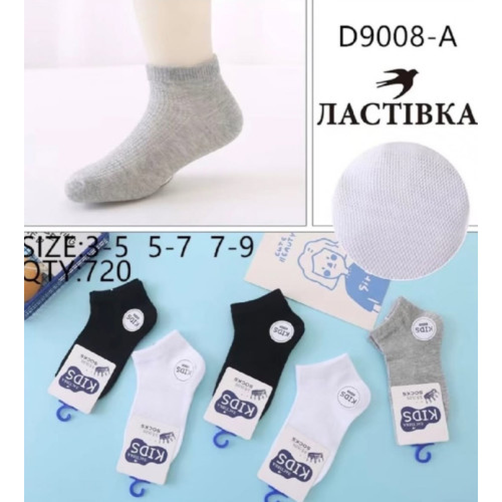 Дитячі шкарпетки ТМ Ластівка D9008-A 5-7р