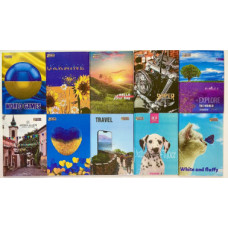 Щоденник Тверда обкл., ТМ Тетрада