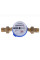 Лічильник холодної води ECOSTAR DN15 1/2″ L110 E-C 2,5