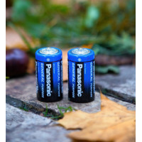 Батарейка Panasonic R20 1шт