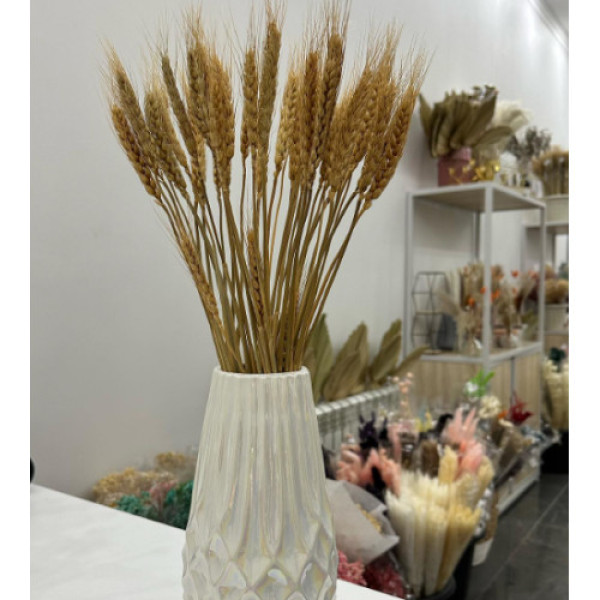 Колосок золотий