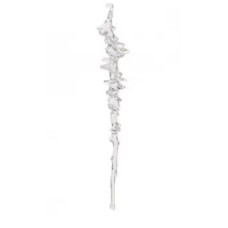 Бурулька прозора