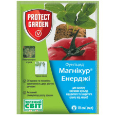 Магнікур Энерджі