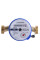 Лічильник холодної води ECOSTAR DN15 1/2″ L110 E-C 2,5
