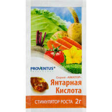 Бурштинова кислота 2г Провентус /Янтарная кислота