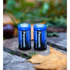 Батарейка Panasonic R20 1шт